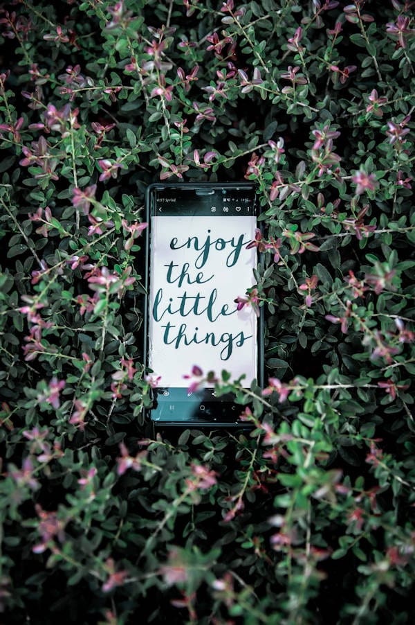 Small Things